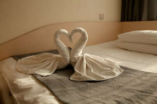 Гостиница Уют Клинцы Одноместный номер-3