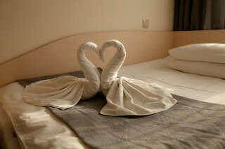 Гостиница Уют Клинцы Одноместный номер-3